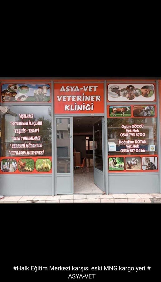 Asya-vet veteriner kliniği