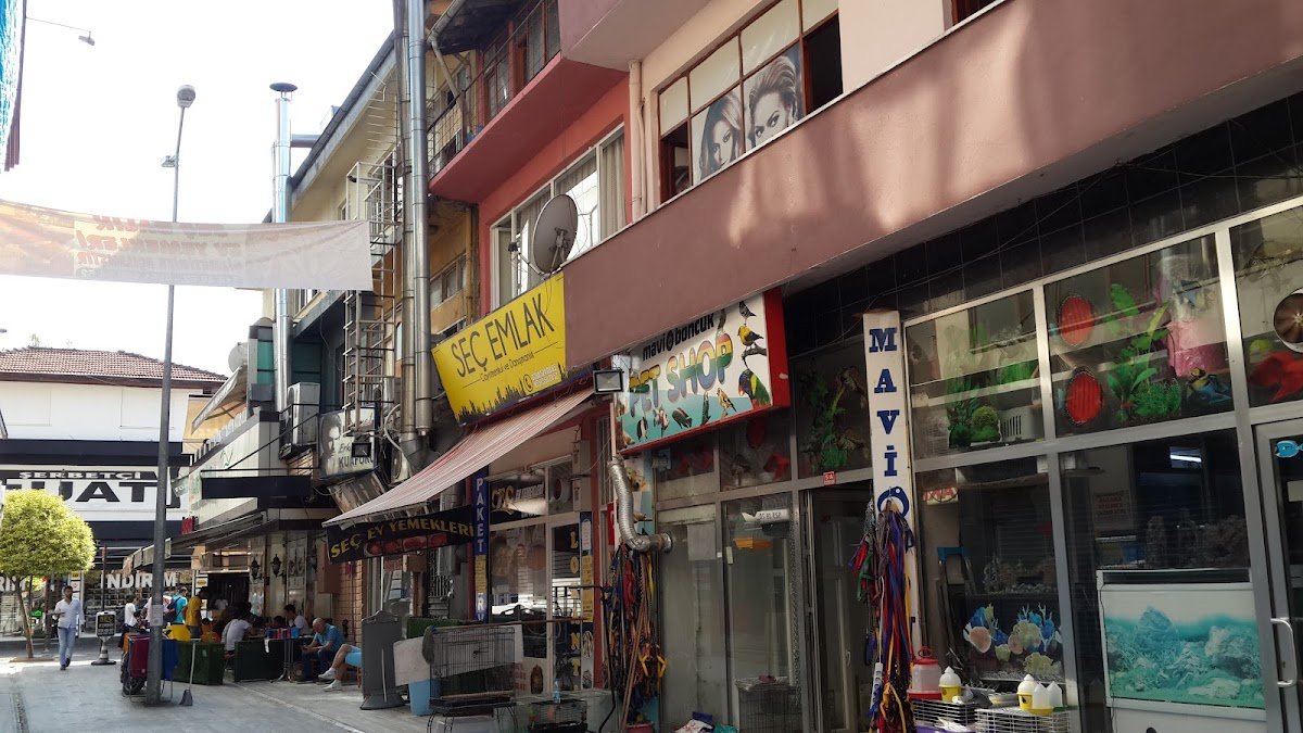 Mavi Boncuk Petshop