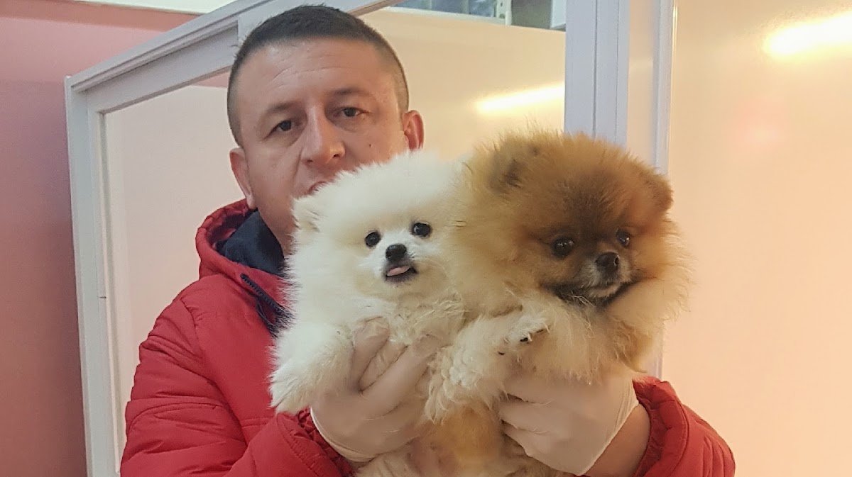 Şila Petshop