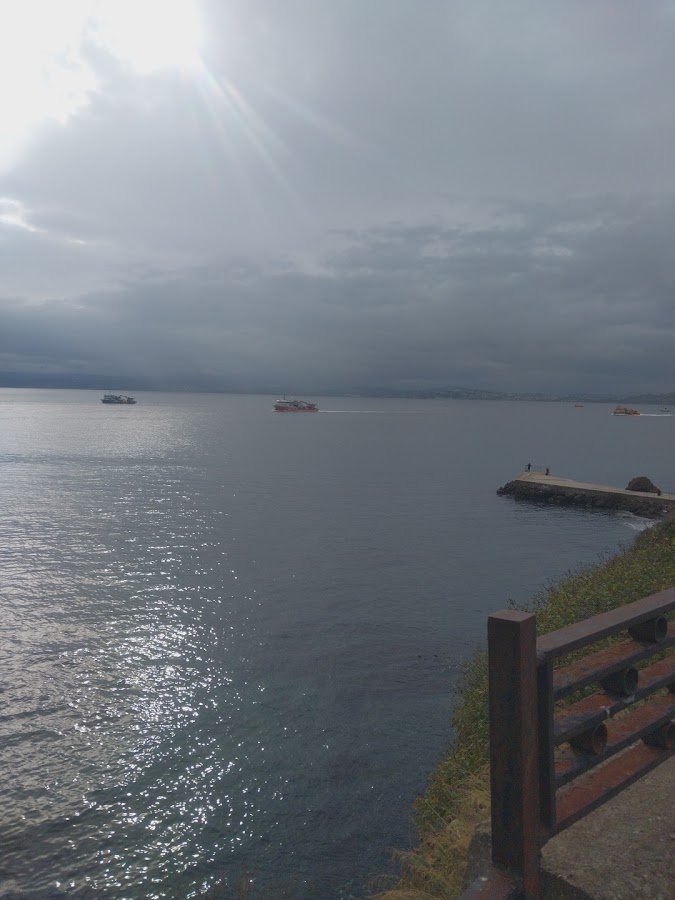 Yarımada Sinop