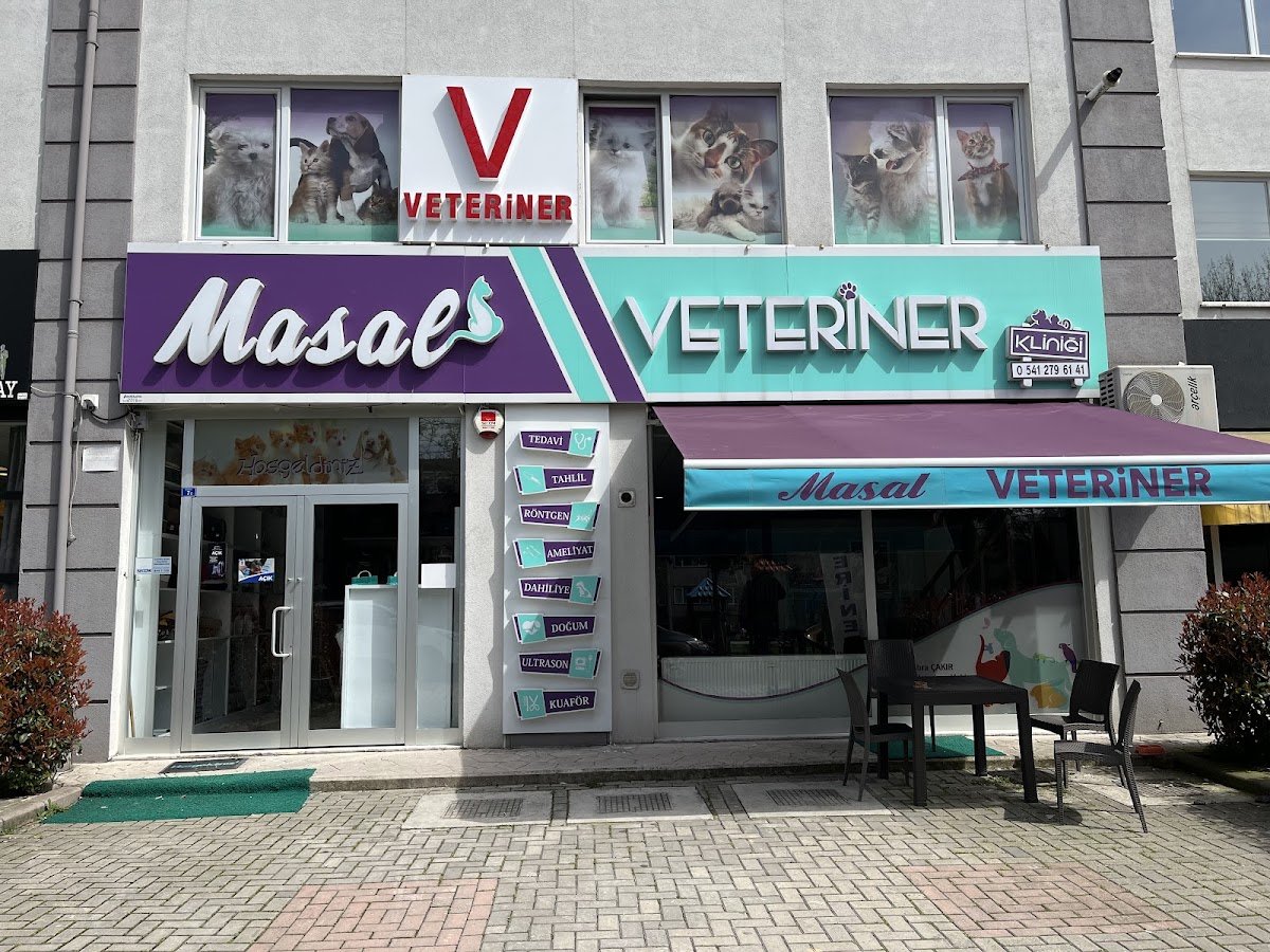 Masal Veteriner Polikliniği (İzmit / Kocaeli)