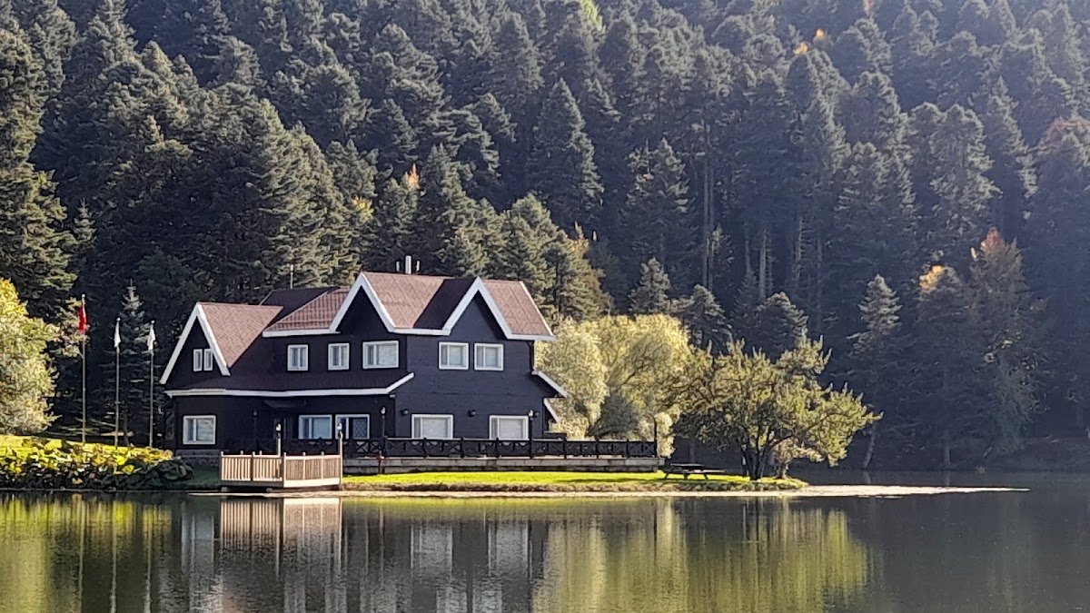 Gezsek Travel