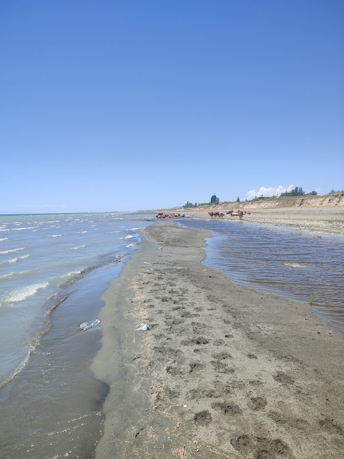 Kampüs Sahili