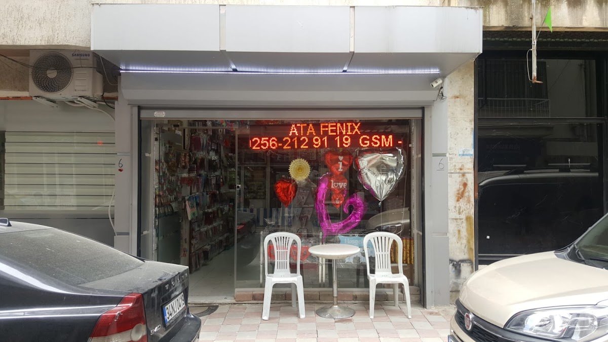 Fenix Organizasyon