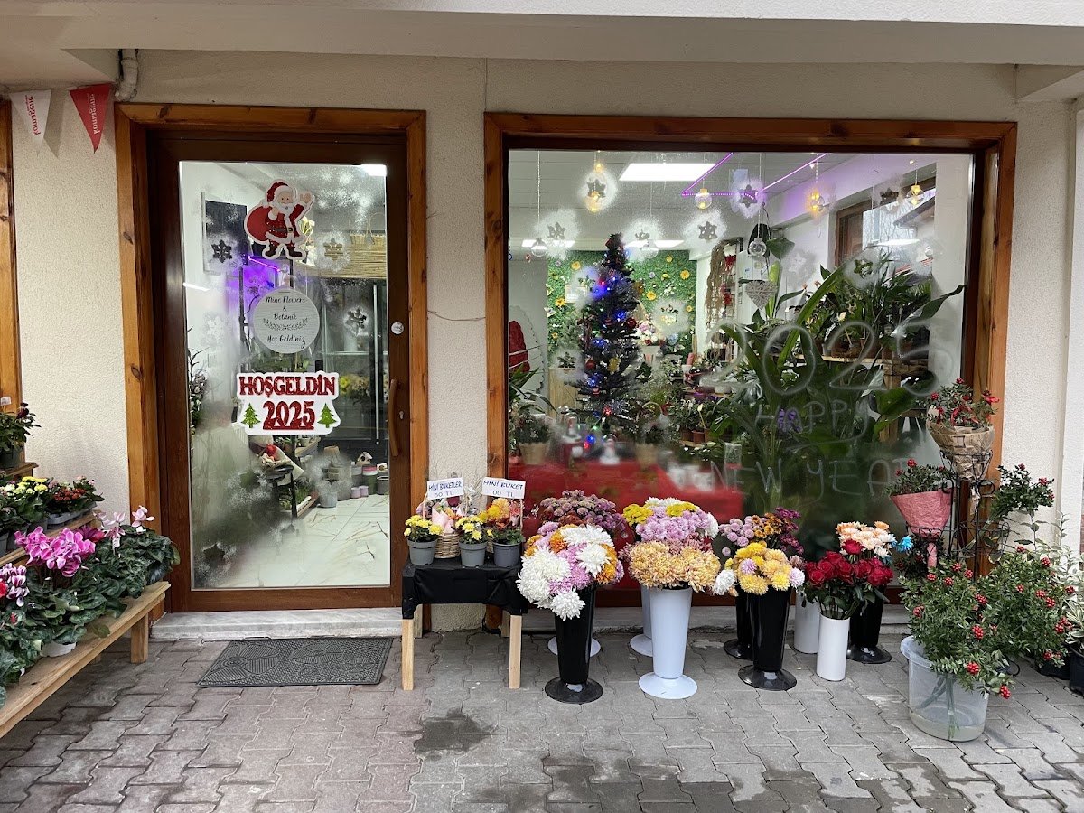 Mine Flowers & Botanik