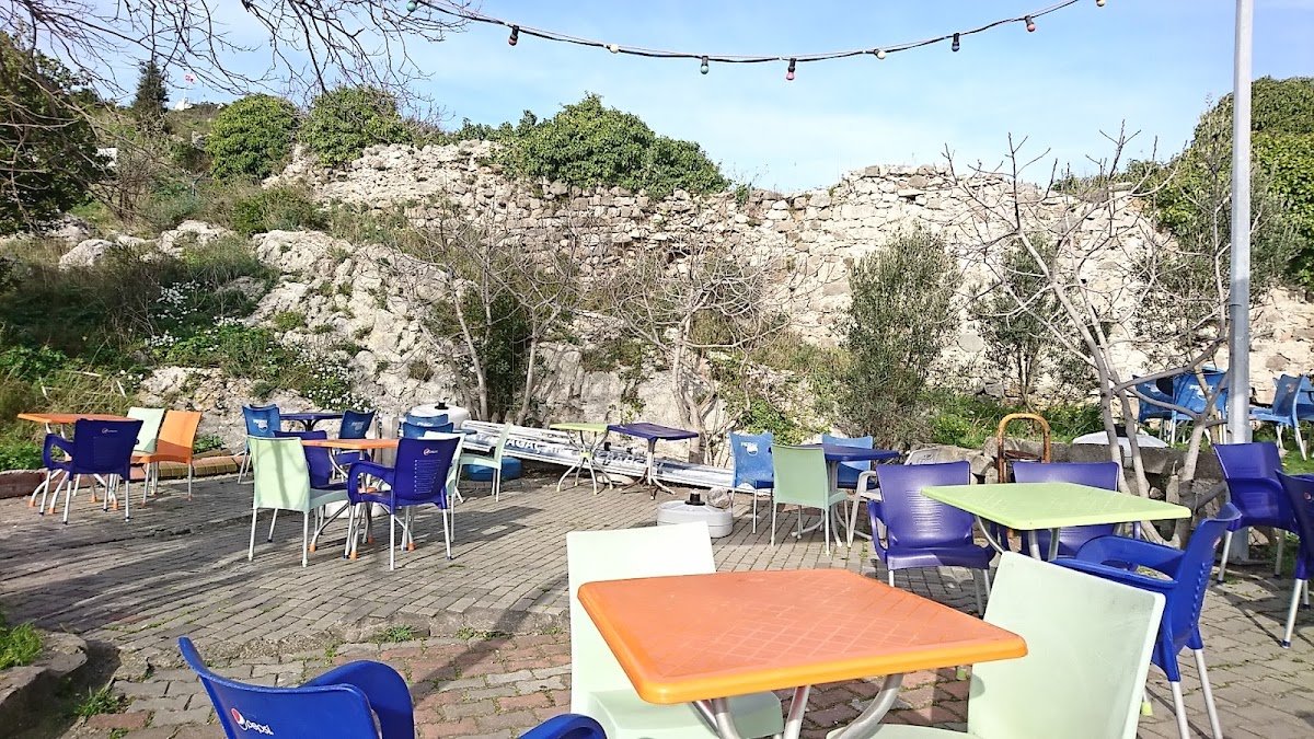 Ağlayan Ağaç Cafe