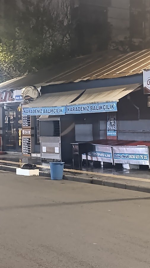 Karadeniz Balıkçısı Bingöl