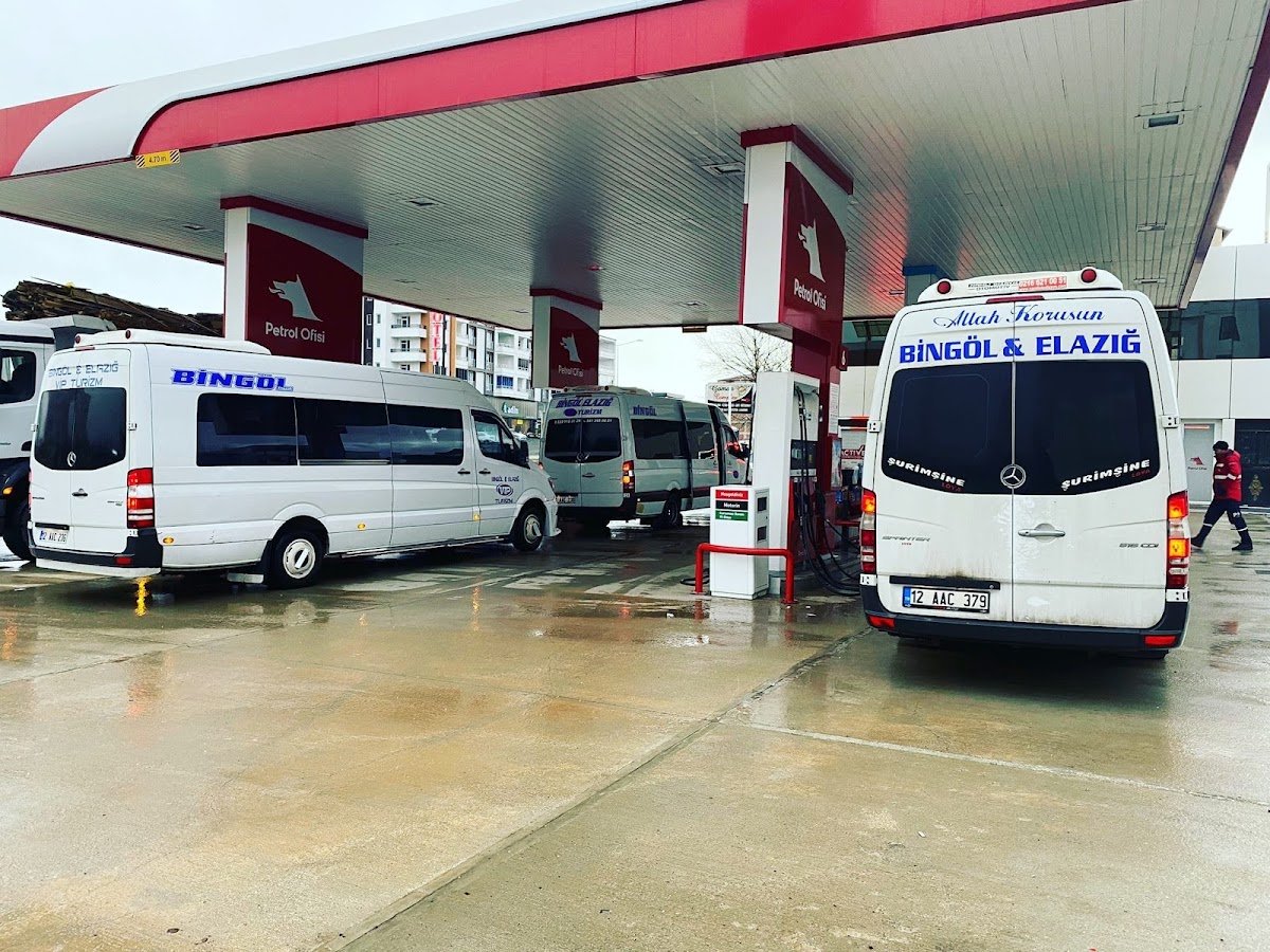 Vip Bingöl Elazığ