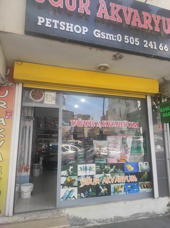 Uğur Akvaryum