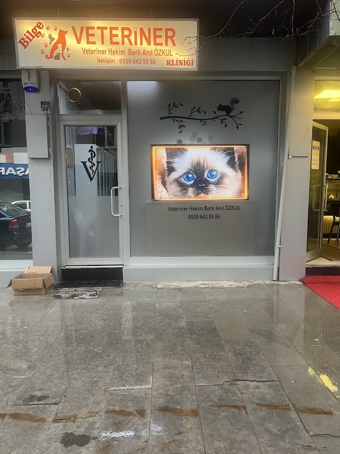 Bilge Veteriner Kliniği Erzurum