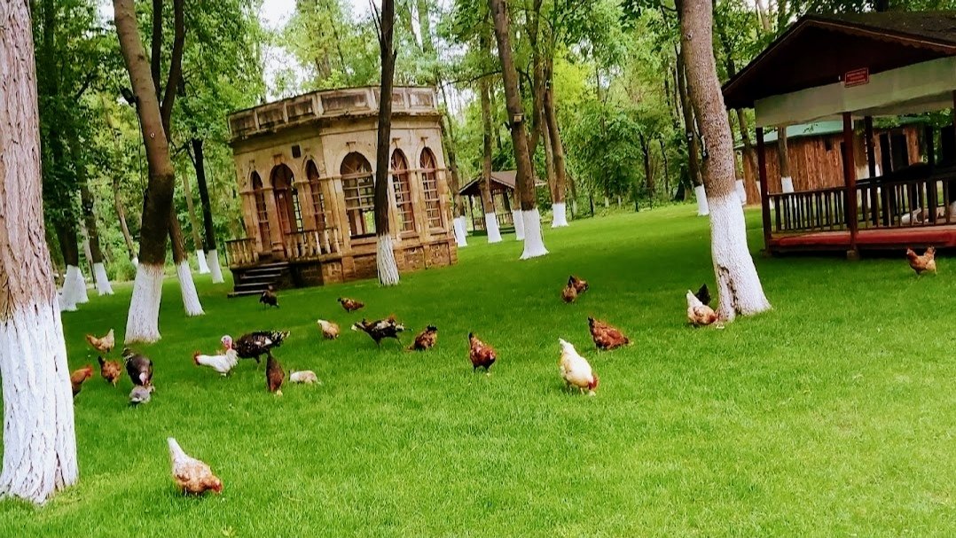 Iv. Mehmet Av Köşkü Kır Bahçesi ve Düğün Salonu Edirne
