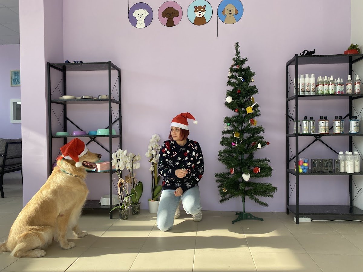 Boop Pet Kuaför Edirne