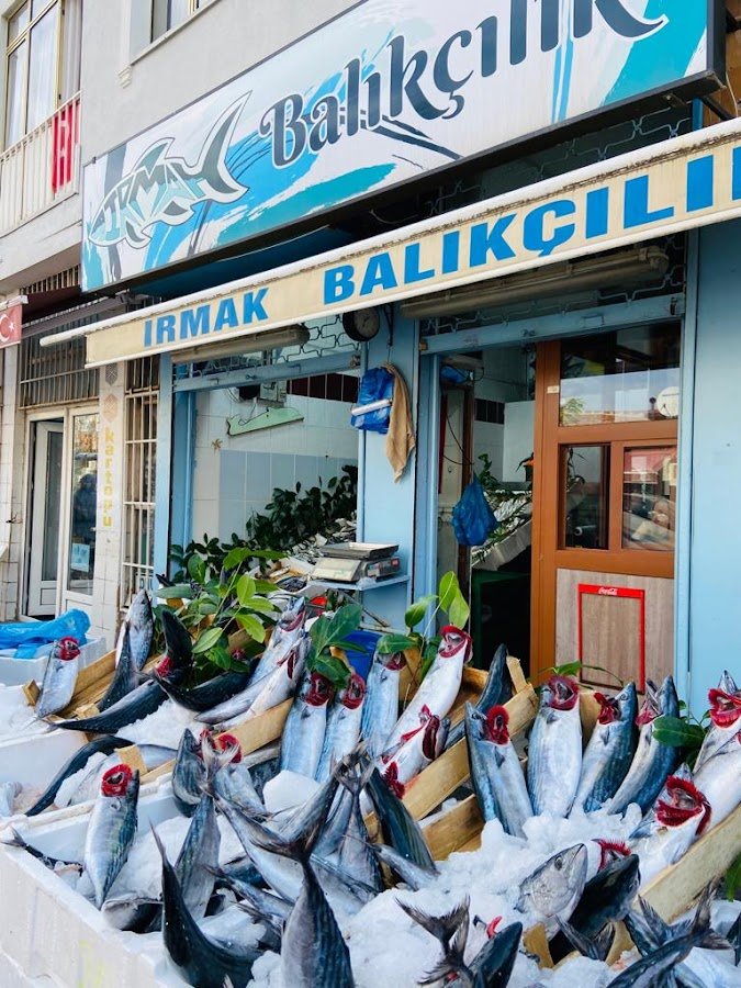 Irmak Balıkçılık