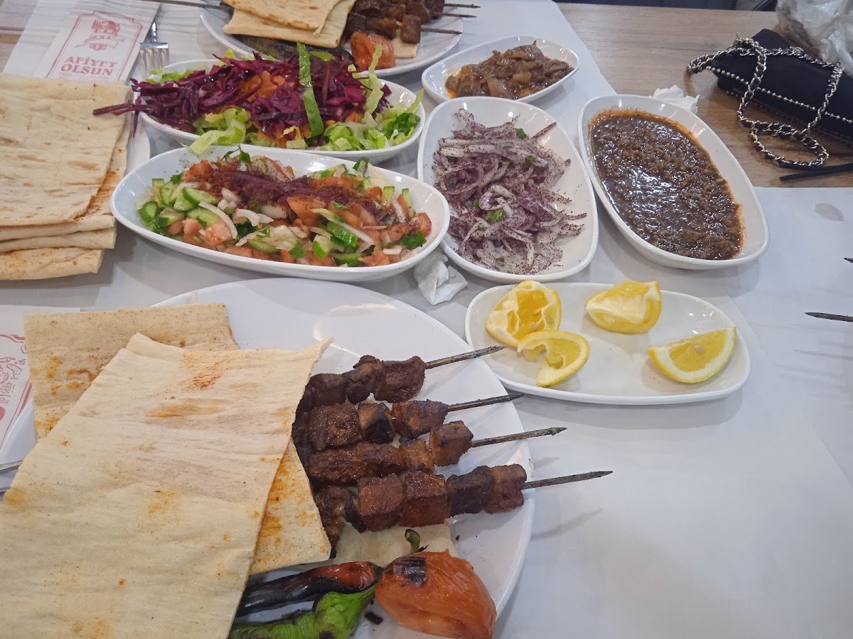 Diyar Ocakbasi