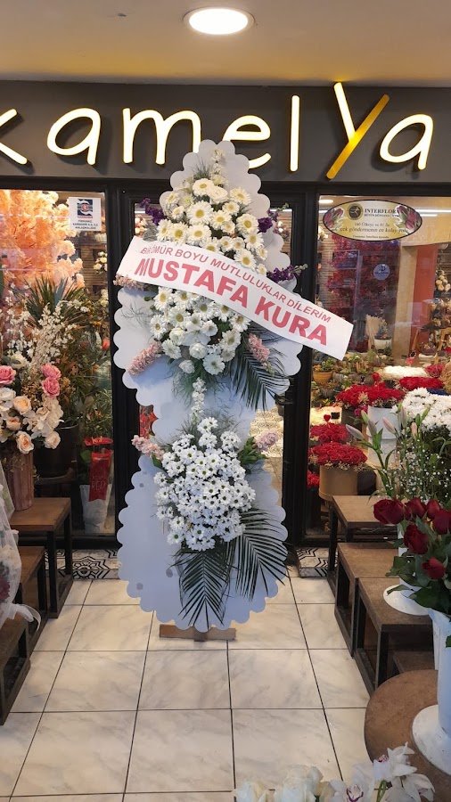 Kamelya Karabük Çiçekçi