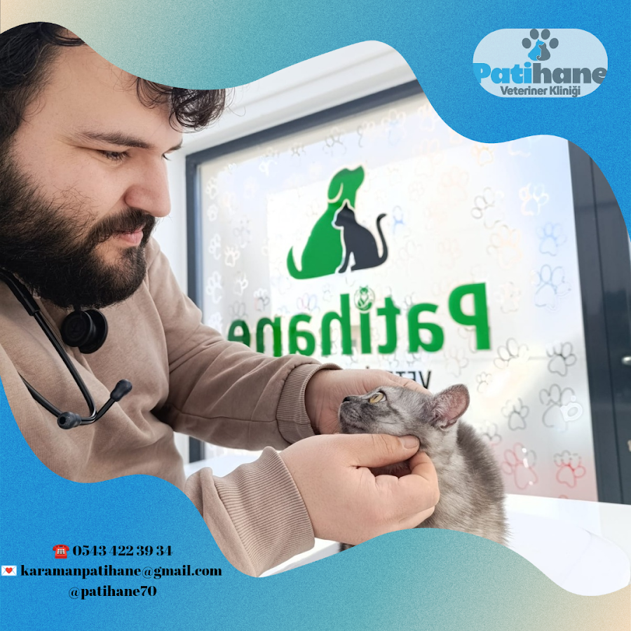 Patihane Veteriner Kliniği