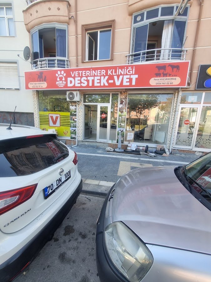 Destek-Vet Veteriner Kliniği