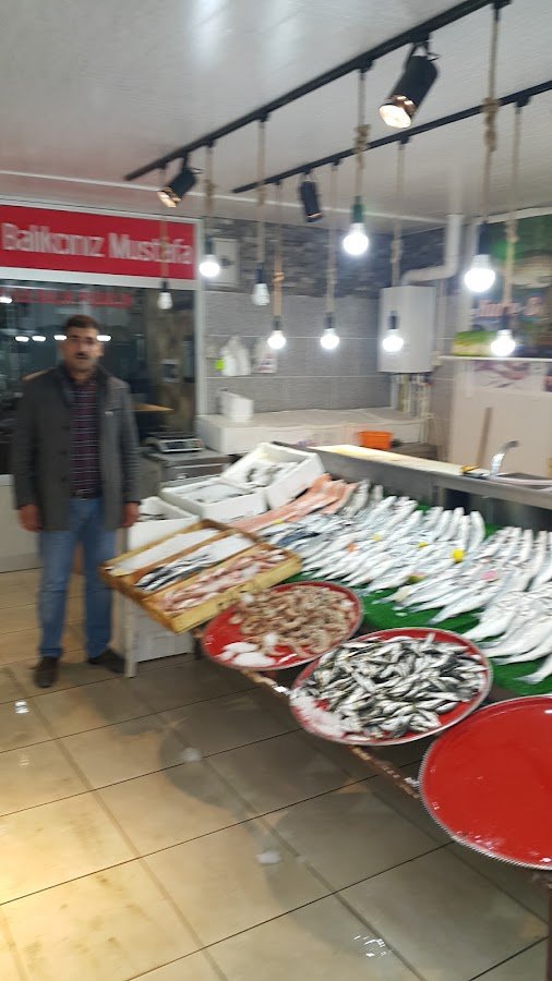 Kutlu Balık Market