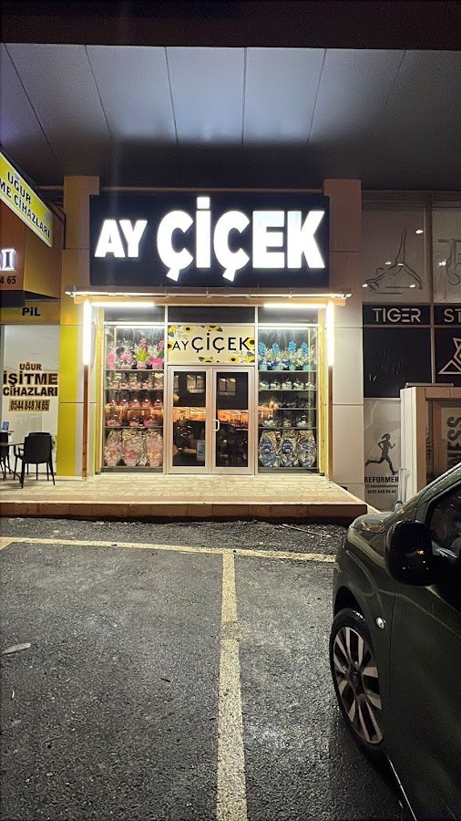 Ay Çiçek Kastamonu