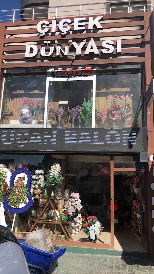 Kayseri Çiçek Dünyası