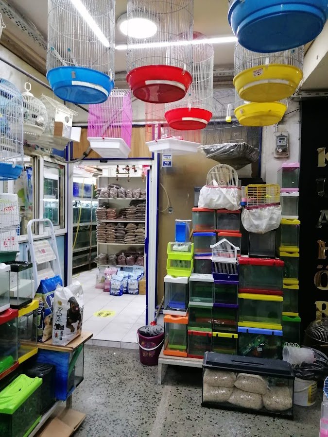 Özbaykal Akvaryum