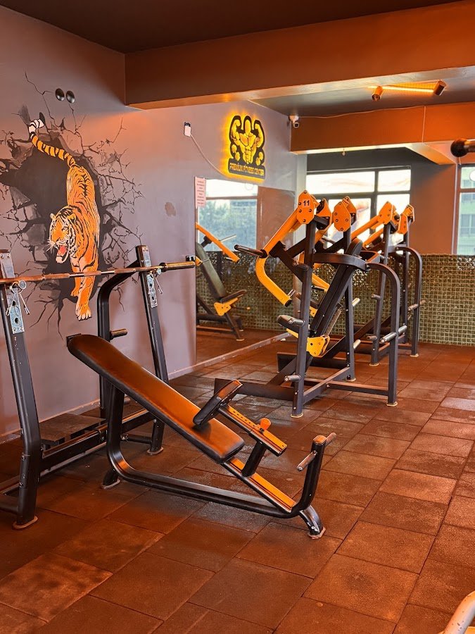 Premium Spor Kulübü