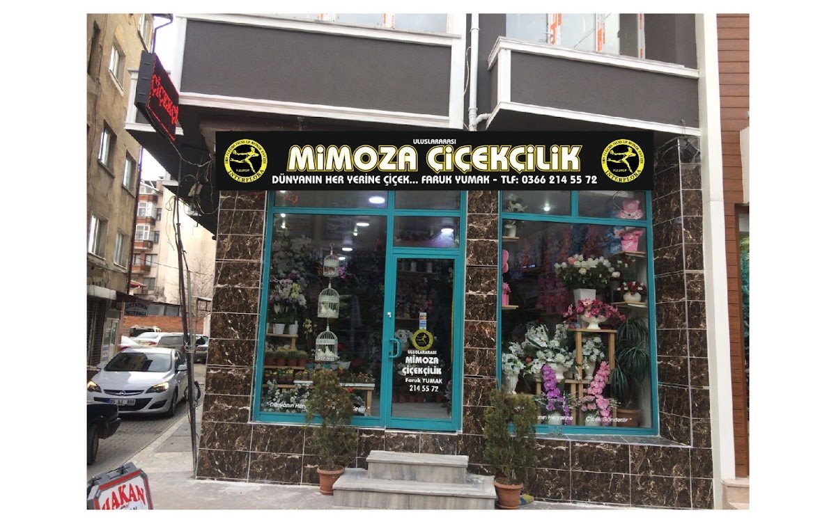 Mimoza Çiçekçilik