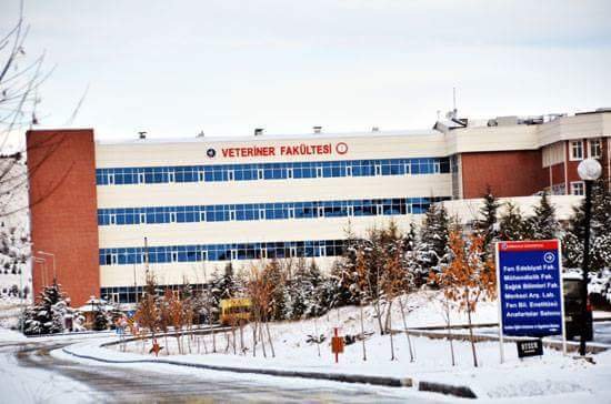 Veteriner Fakültesi