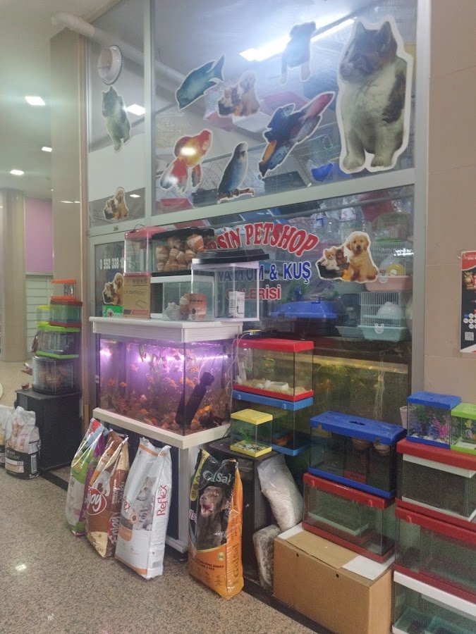 Ersin Pet Shop Evcil Hayvan Mağazası