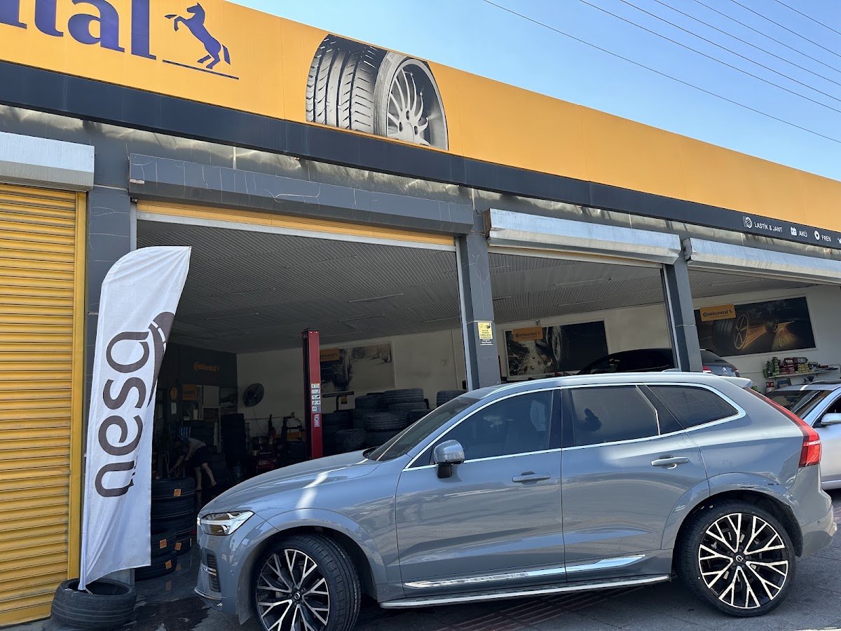 Continental - Nesa Lastik