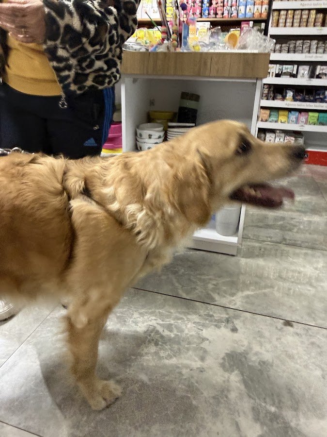 Karaca Veteriner Kliniği