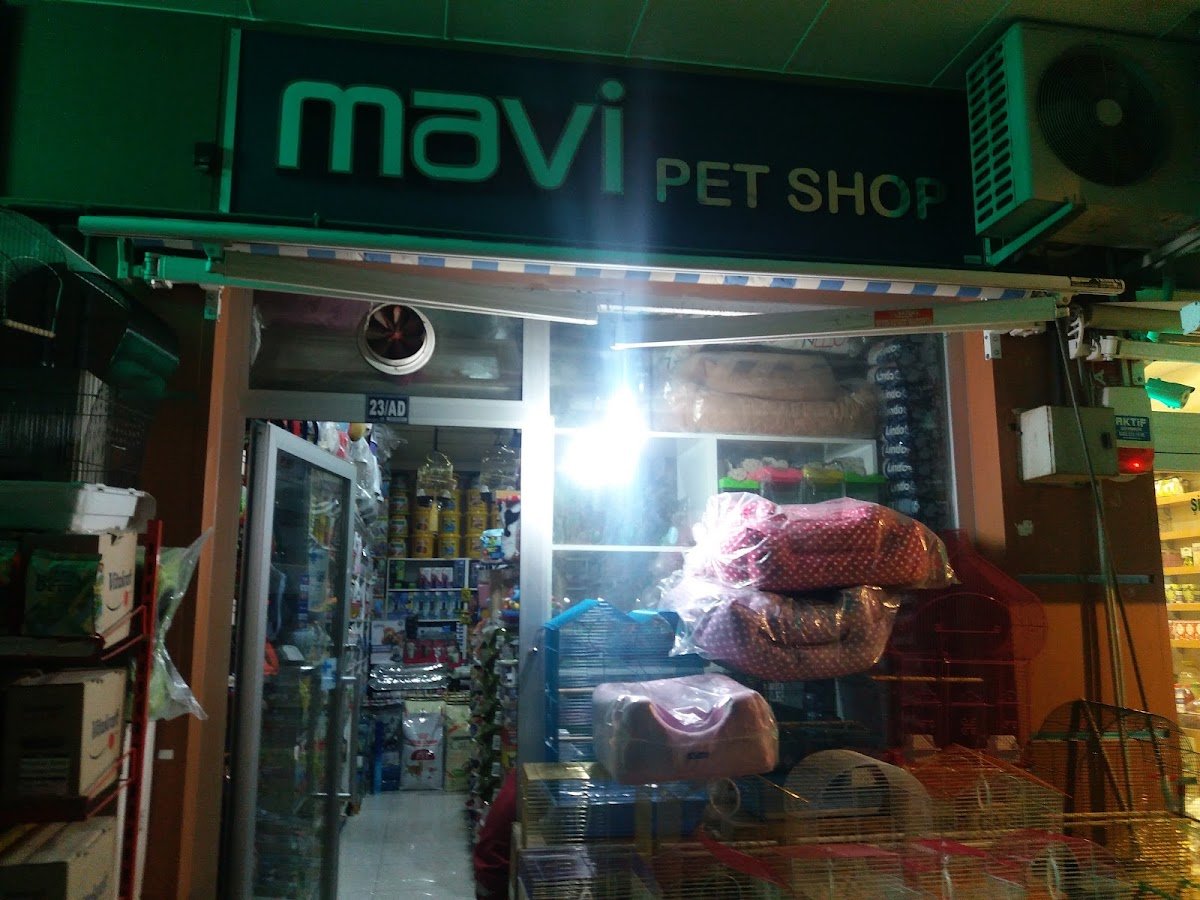 Mavi Pet Shop ve Akvaryum Dünyası