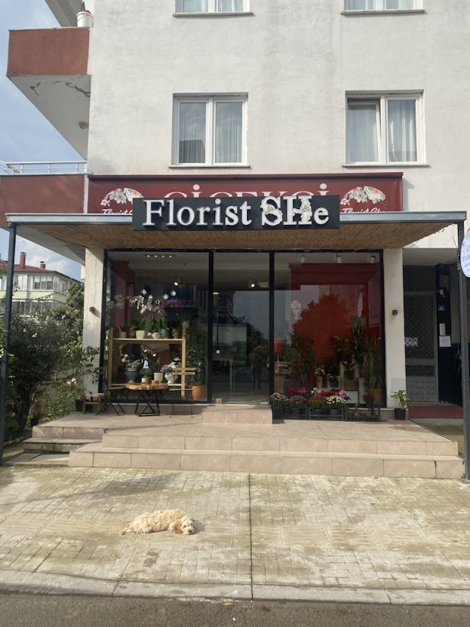 Florist She Çiçekçilik