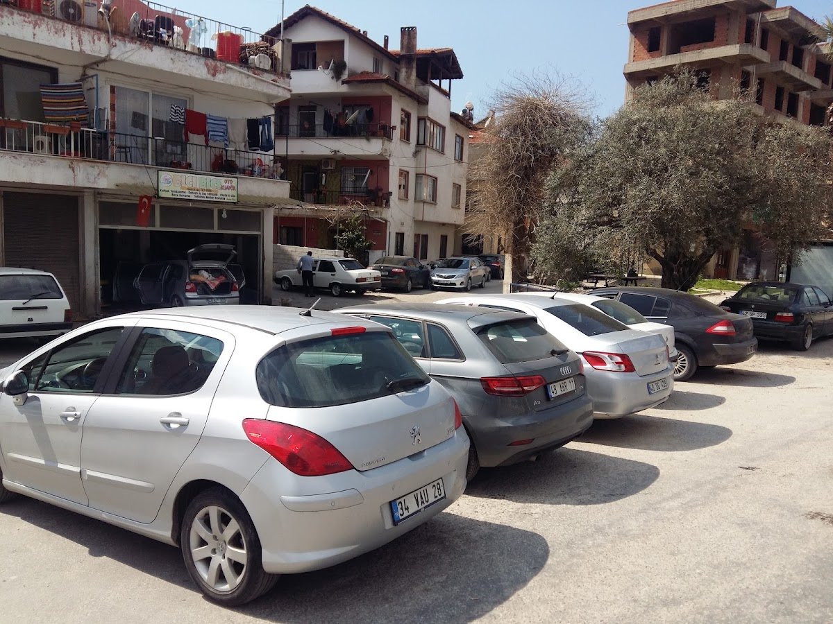 Bıcı Bıcı Oto Yıkama