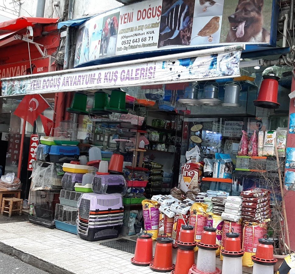 Yeni Doğuş Akvaryum
