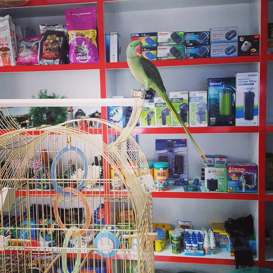 Tropikal Pet Shop
