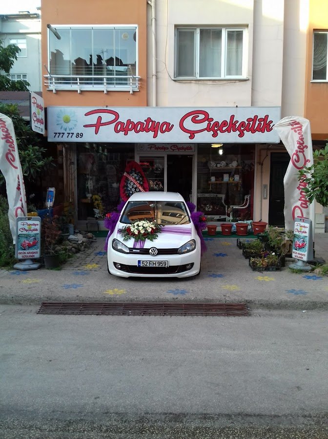 Papatya Çiçekçilik & Organizasyon
