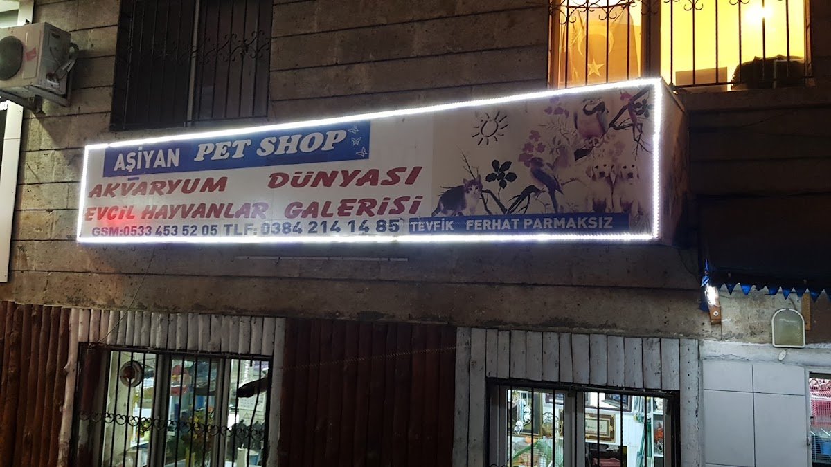 Aşiyan Akvaryum Pet Shop