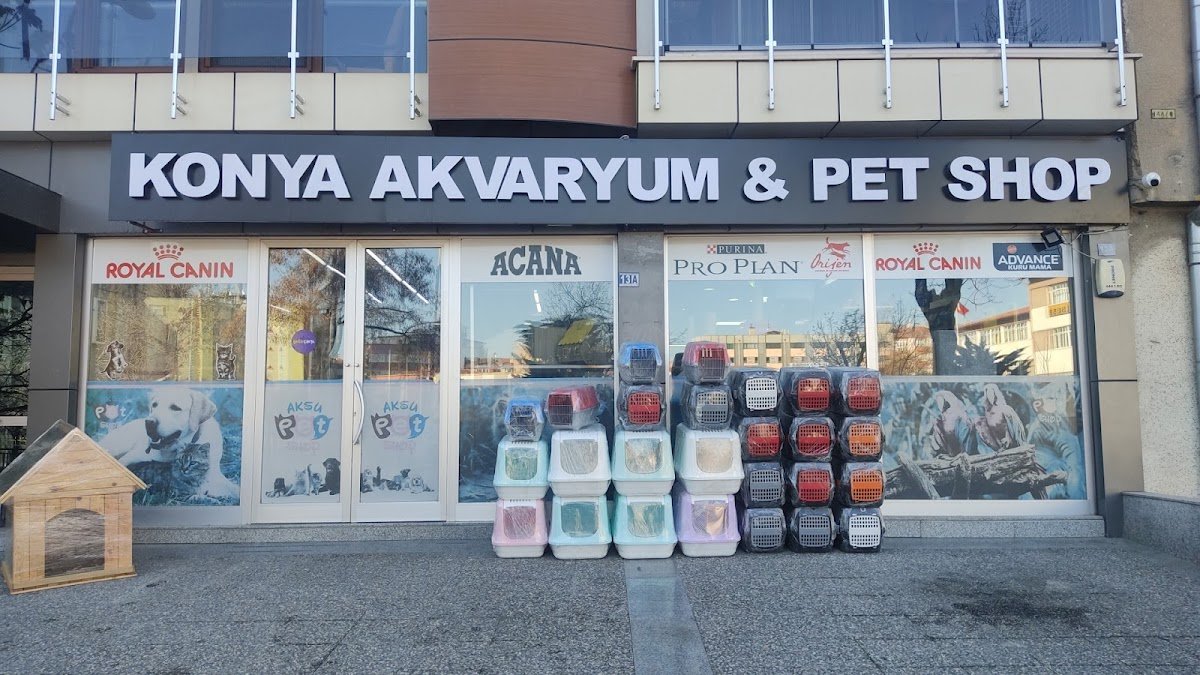 Pozitif Petshop Anıt Şube