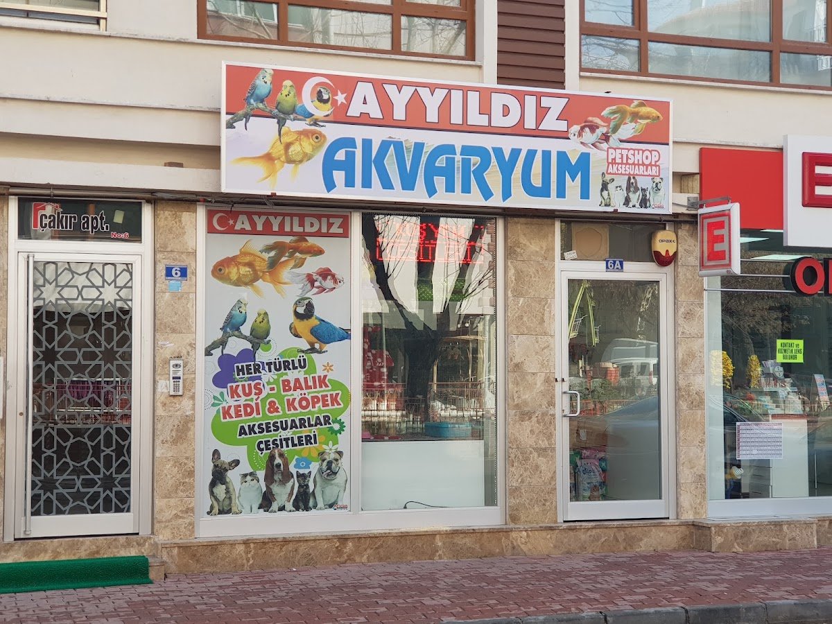 Konya Ayyıldız Petshop-Shop-Kedi Maması-Konserve- Kedi Kumu - Tuvaleti -Yaş Mama- Kedi-Köpek-Maması-Pet Shop-Pet Dükkan