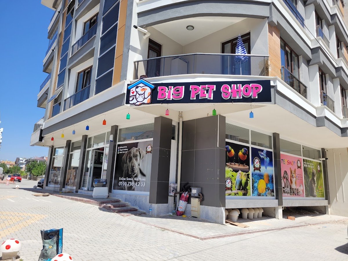 Big Pet Shop