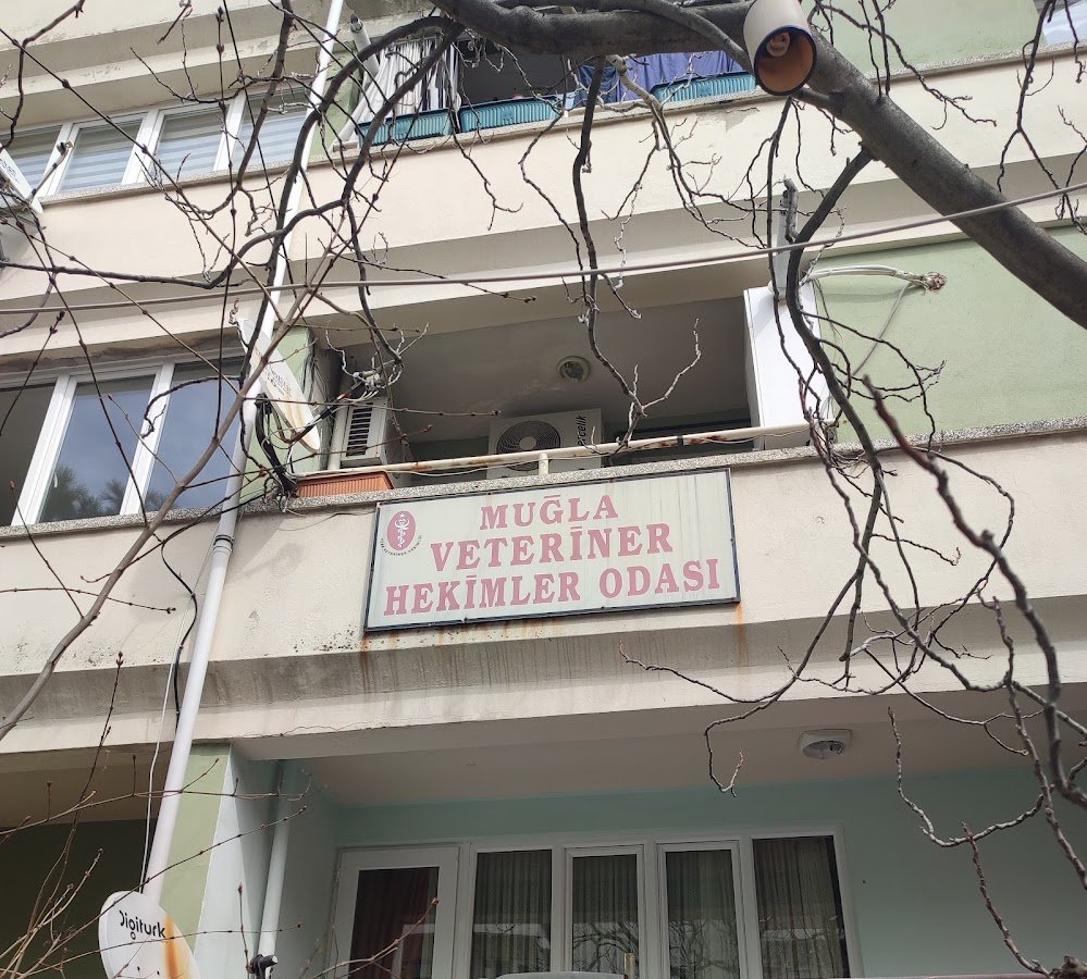 Muğla Veteriner Hekimler Odası