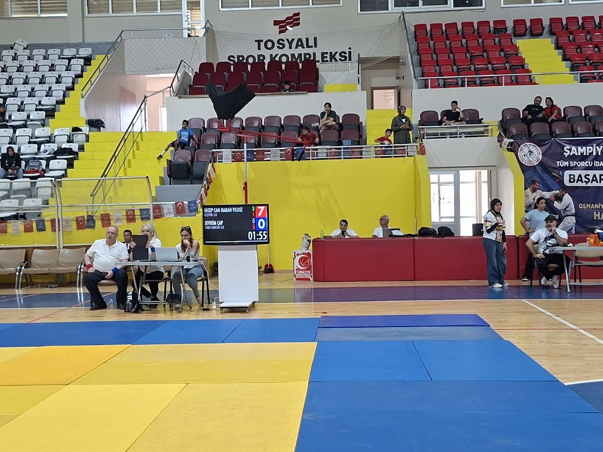 Tosyalı Arena