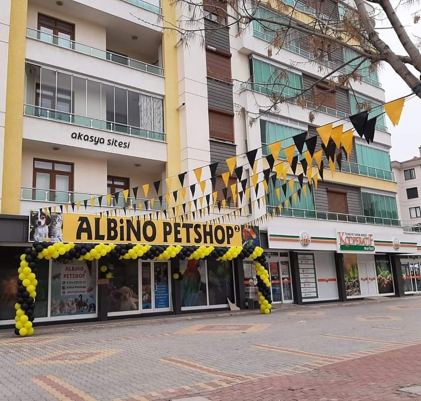 Albino Petshop 2