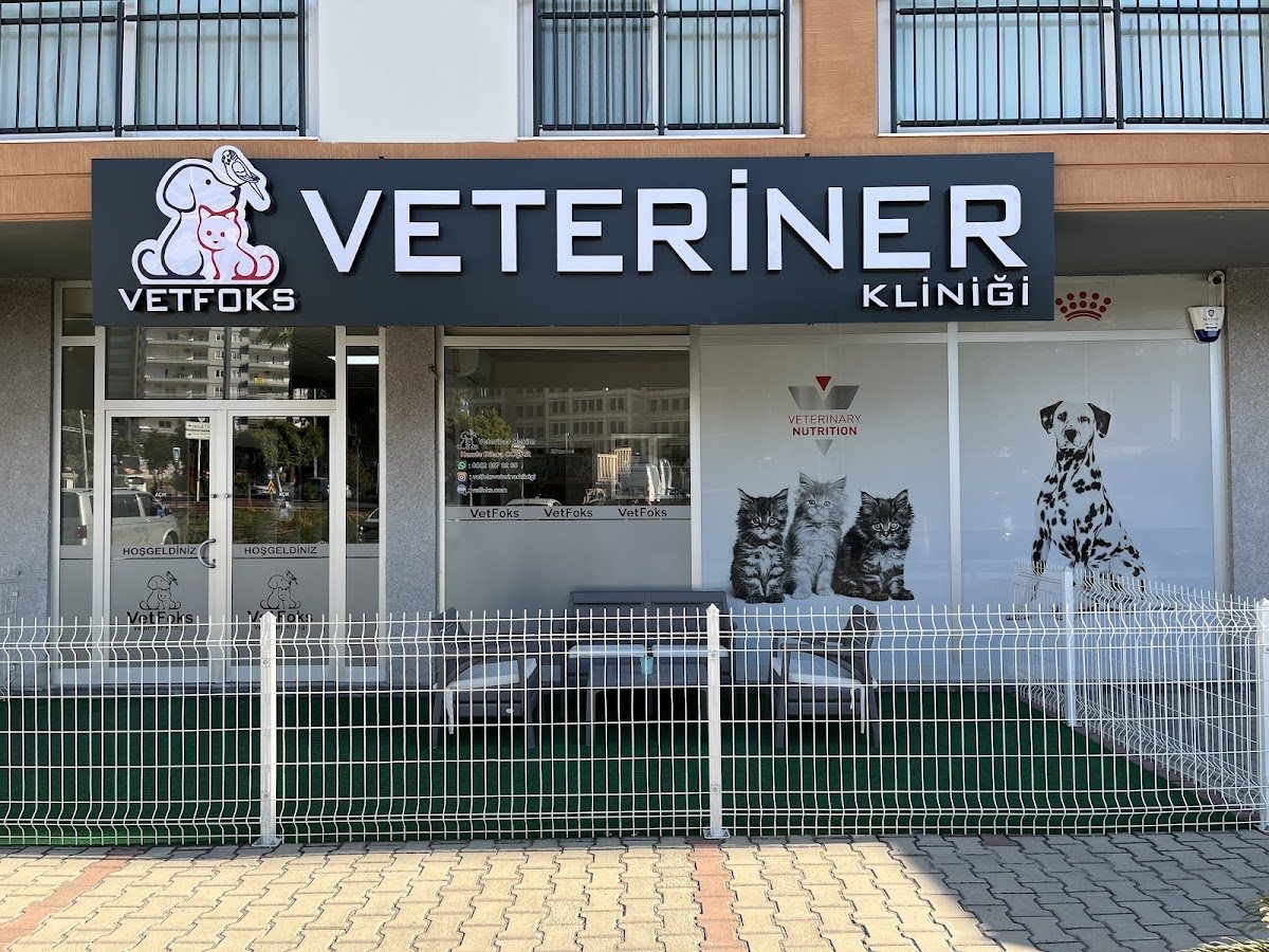 Vetfoks Veteriner Kliniği