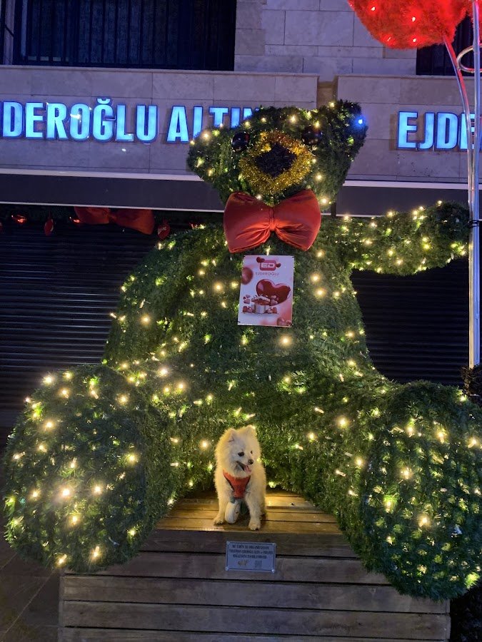 Köseoğulları Kuyumculuk