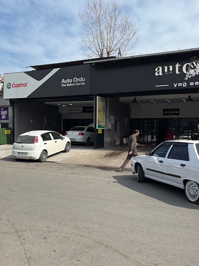 Auto Ordu