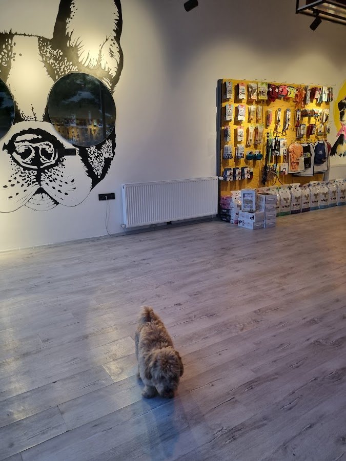 Tele🐾 (Telepatik) Pet Shop & Kuaför (Alomamanigde.Com)