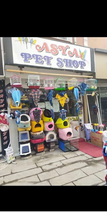 Asya Pet Shop Toptancı