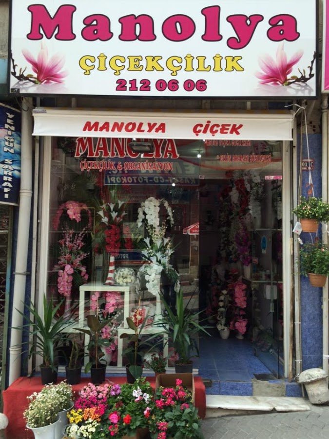 Kırıkkale Manolya Çiçek